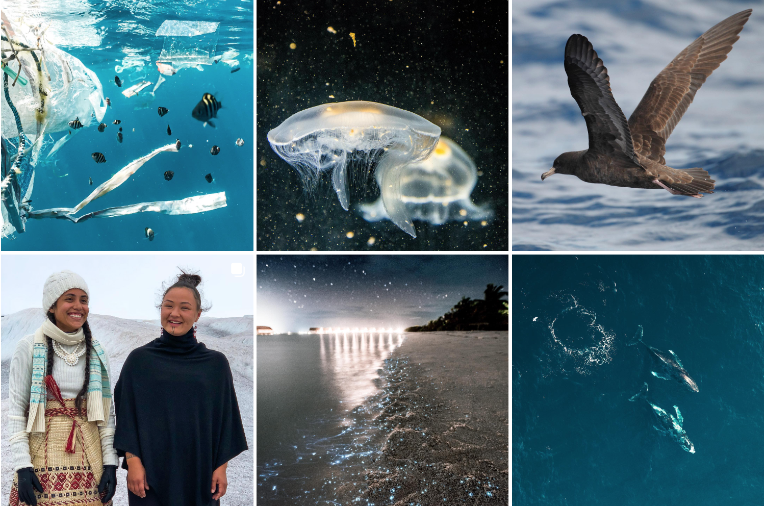 A tile arrangement of six images taken from an Instagram feed. In order, these contain a polluted sea full of plastic, a bioluminescent jellyfish, a seabird in flight, a portrait of Kathy Jetn̄il-Kijiner and Aka Niviâna, bioluminiscent plankton on a beach and an aerial shot of two humpback whales.